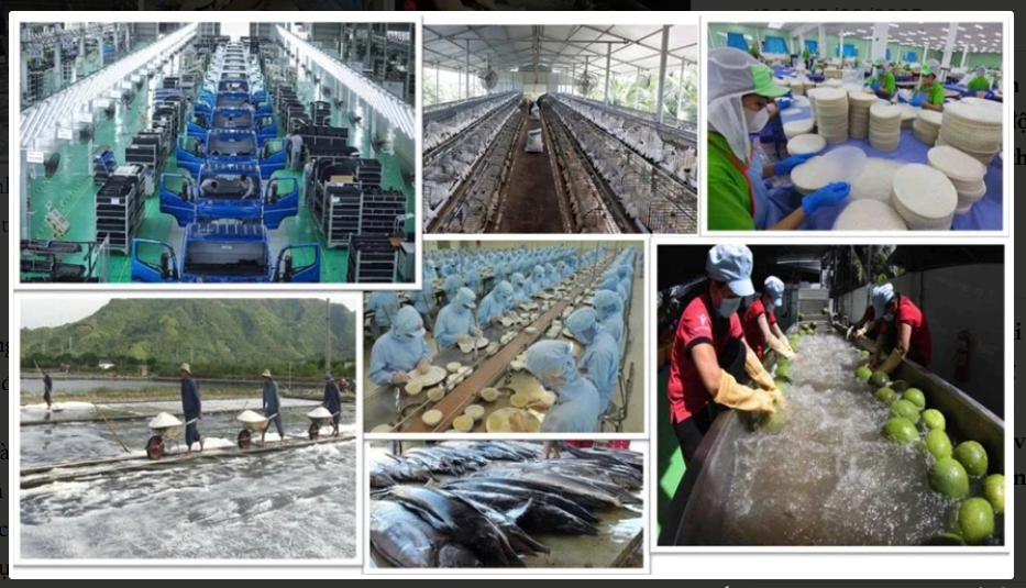 Khánh Hòa ban hành Kế hoạch hành động thực hiện Nghị quyết 68-NQ/TW về phát triển kinh tế tư nhân